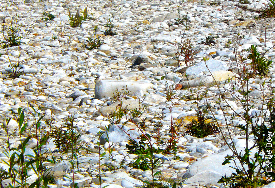 ©Ebi-de-Boer-Carrara-marble