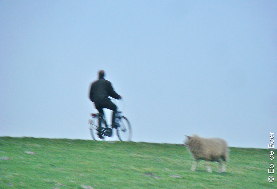 ©Ebi-de-Boer-Ostfriesland-Deich-Insel-Rilke