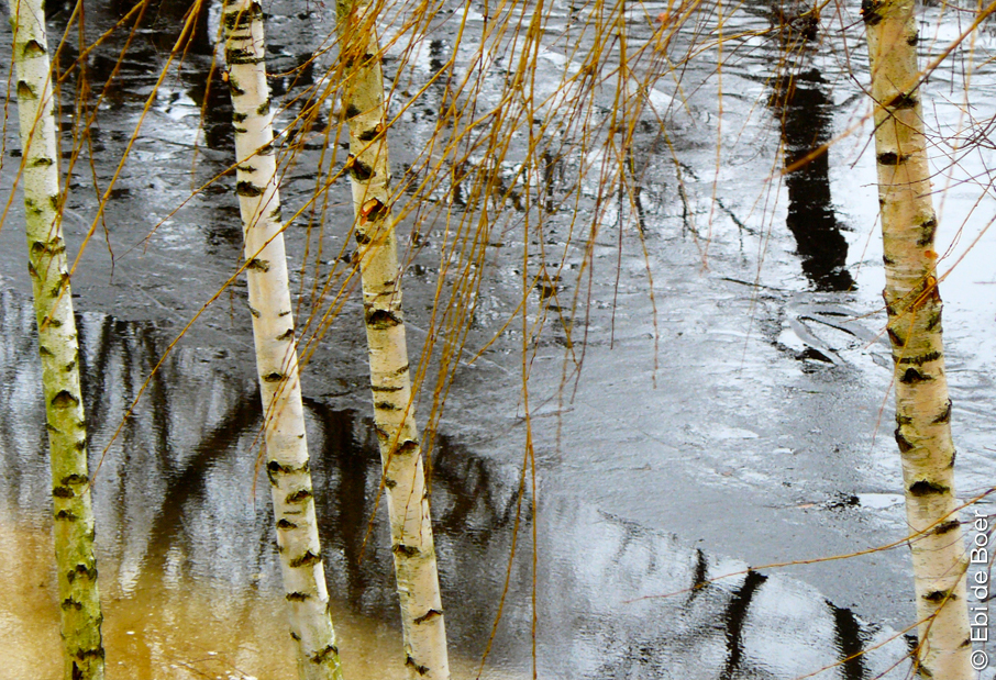©Ebi-de-Boer-Pietrasanta-Art-Nature