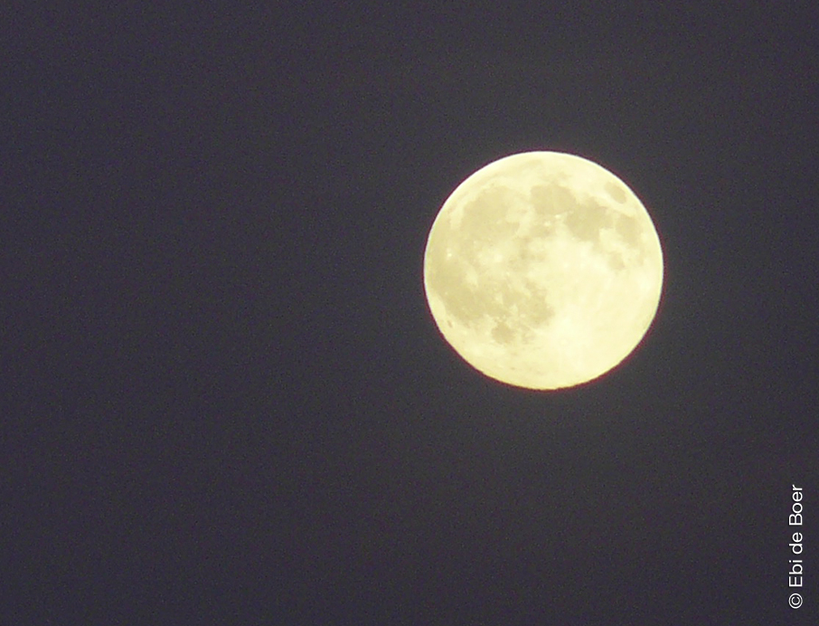 ©Ebi-de-Boer-Pietrasanta-Natur-Astronomy