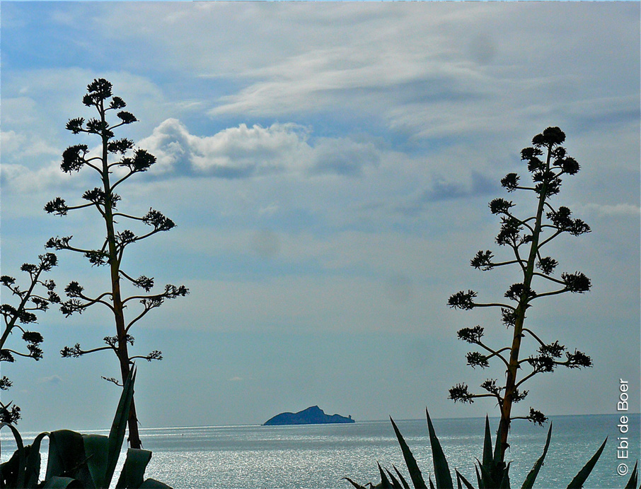 ©Ebi-de-Boer-Pietrasanta-Maremma-Natur