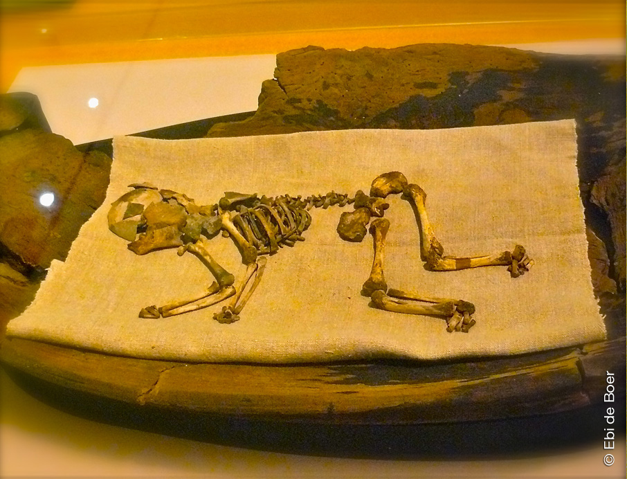 ©Ebi-de-Boer-Pietrasanta-Ostfriesland-Ausstellung