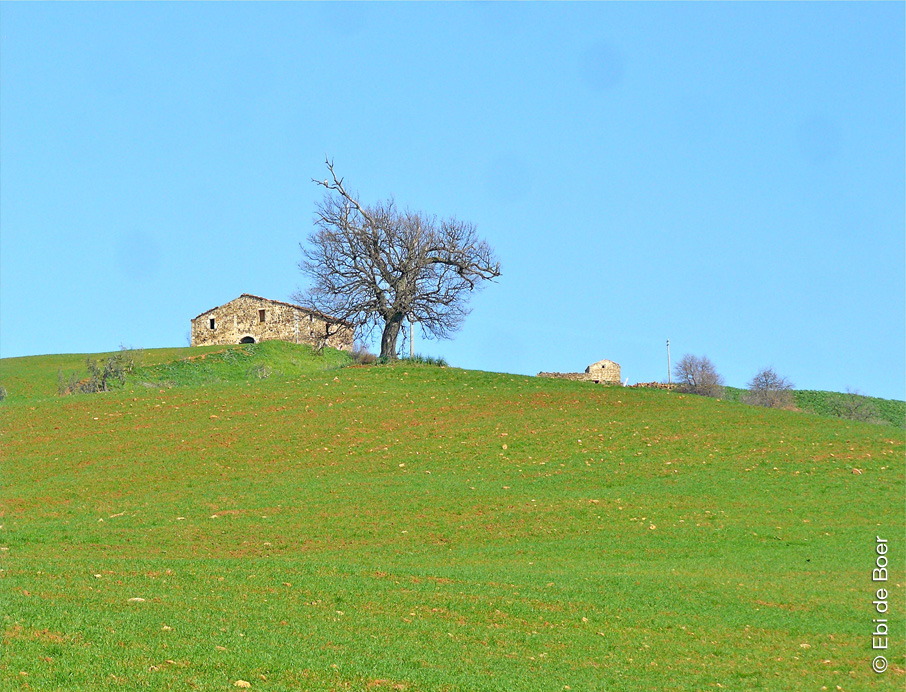 ©Ebi-de-Boer-Pietrasanta-tuscany-nature
