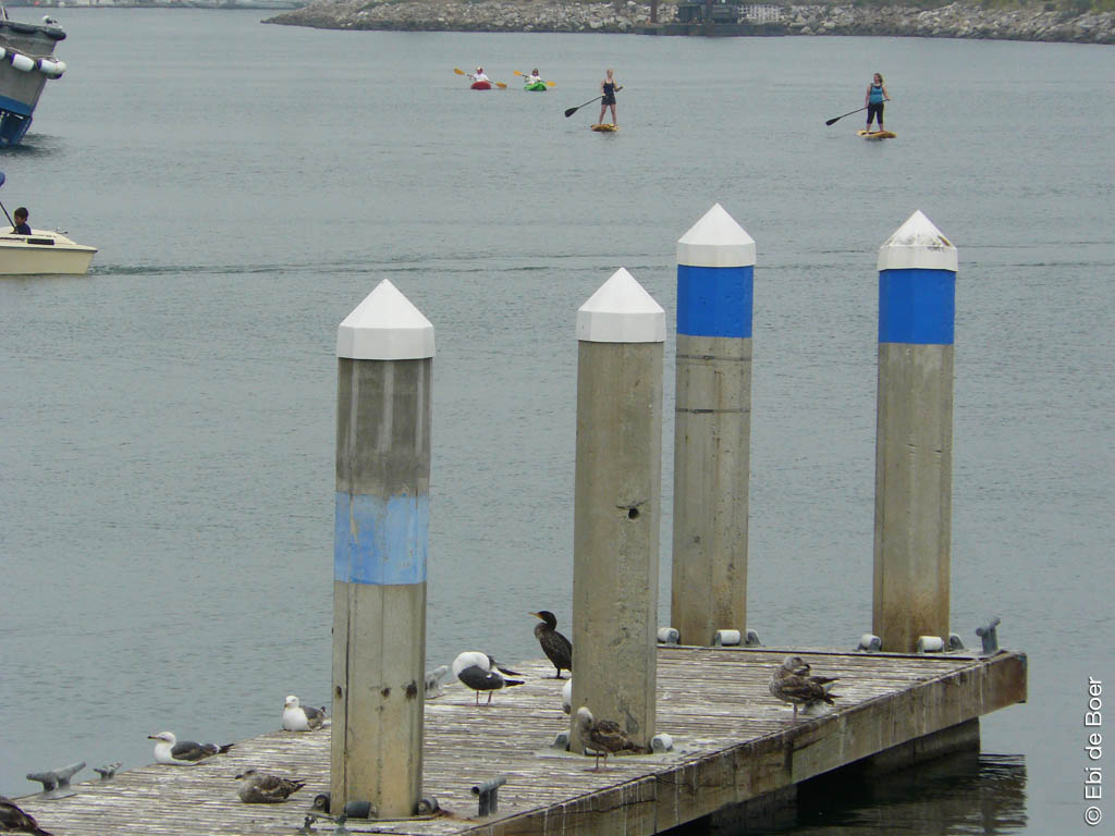 ©Ebi-de-Boer-California-nature-photography