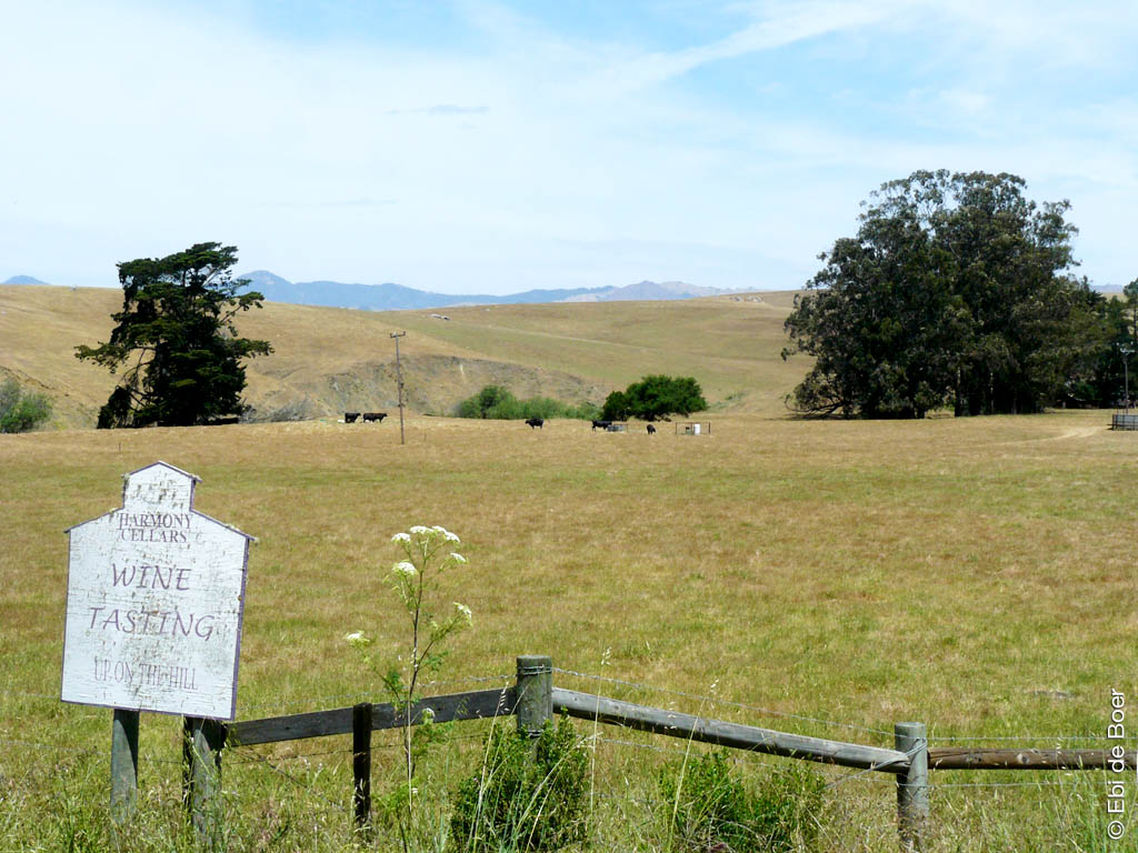 ©Ebi-de-Boer-Kalifornien-natur-photo