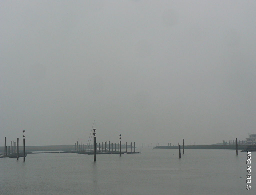 ©Ebi-de-Boer-Ostfriesland-Natur Kopie