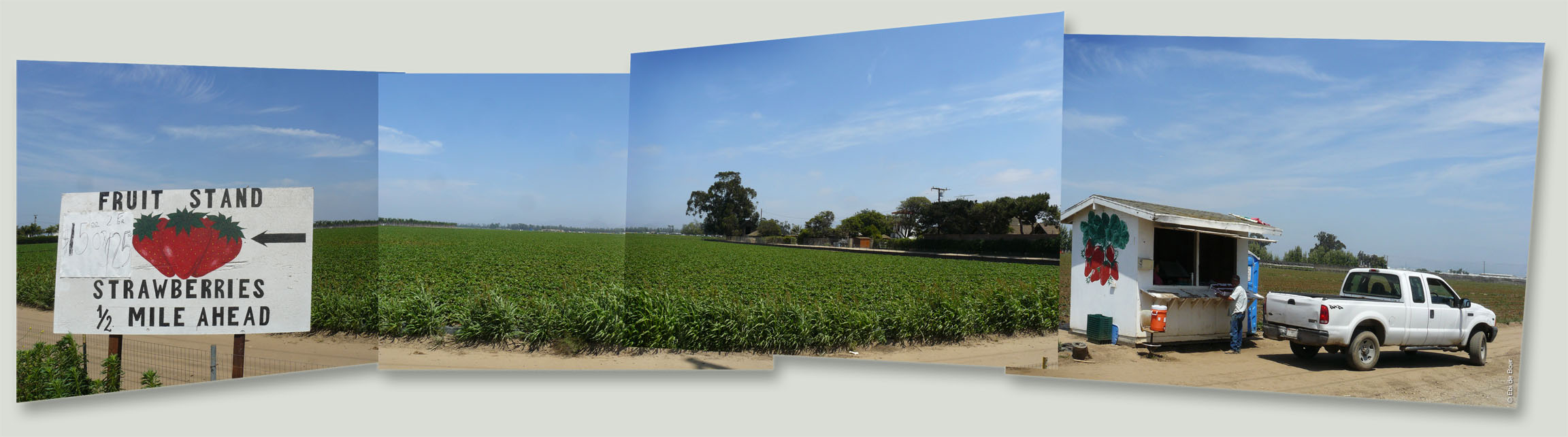 ©Ebi-de-Boer-Strawberry-fields-Forever-photographie