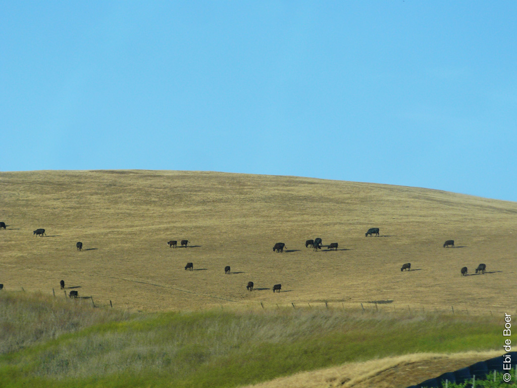 ©Ebi-de-Boer-California-highway-1-photo