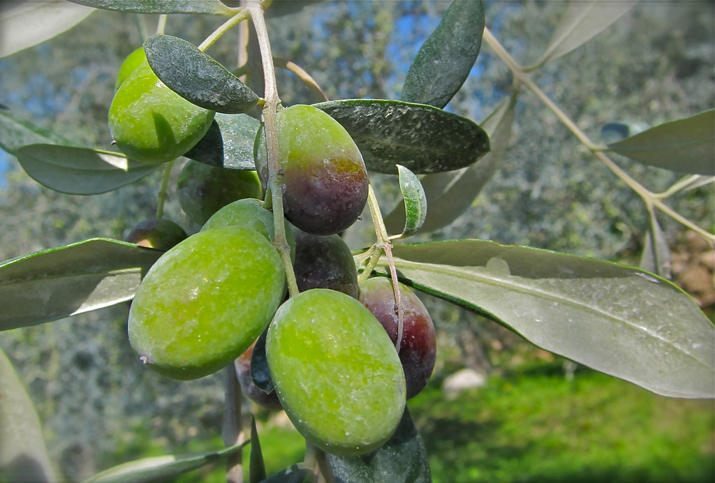 ©Ebi-de-Boer-Pietrasanta-Il casone-Natur