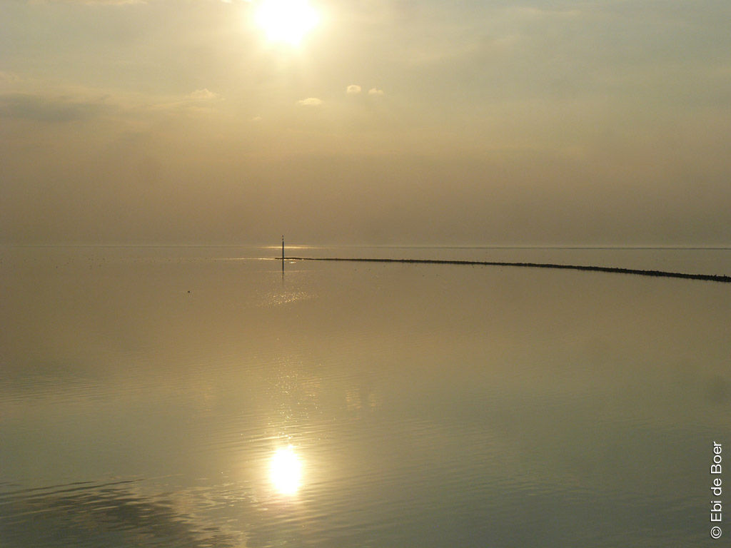 ©Ebi-de-Boer-Ostfriesland-Natur